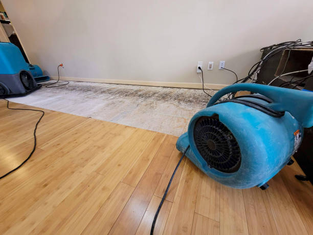 Professional Water Removal technician working in Brookhaven, NY